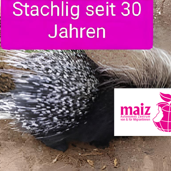 Stachtig seit 30 Jahren