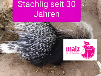Stachtig seit 30 Jahren